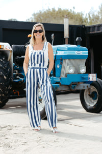 Overall PIPPA - Blue