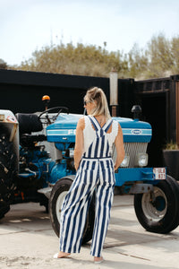 Overall PIPPA - Blue